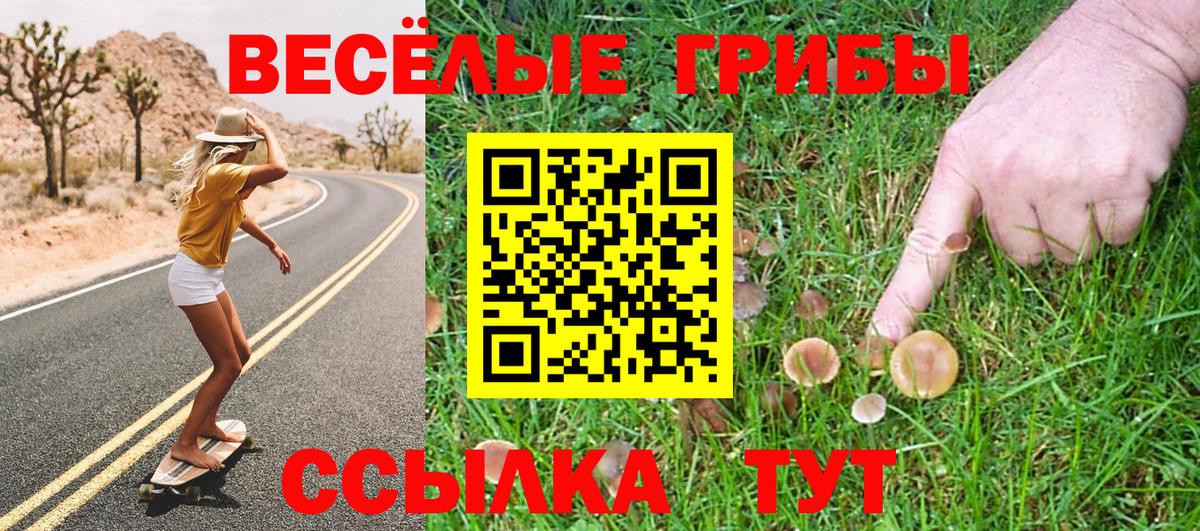 Псилоцибиновые грибы мицелий Когалым