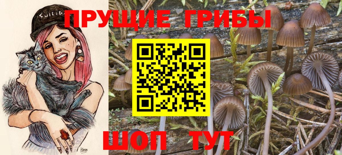 Когалым  Галлюциногенные грибы GOLDEN TEACHER  Вход с VPN 